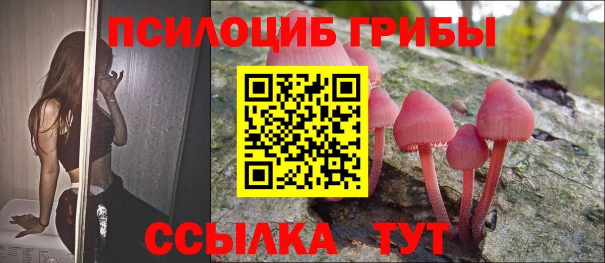 Псилоцибиновые грибы MAGIC MUSHROOMS Черняховск