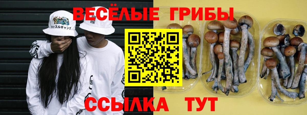 Черняховск  Галлюциногенные грибы прущие грибы  закладка  Вход с VPN  Галлюциногенные грибы Cubensis 