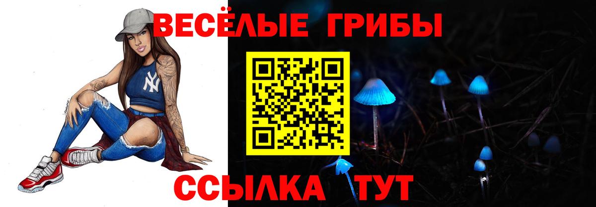 Галлюциногенные грибы Psilocybine cubensis Черняховск